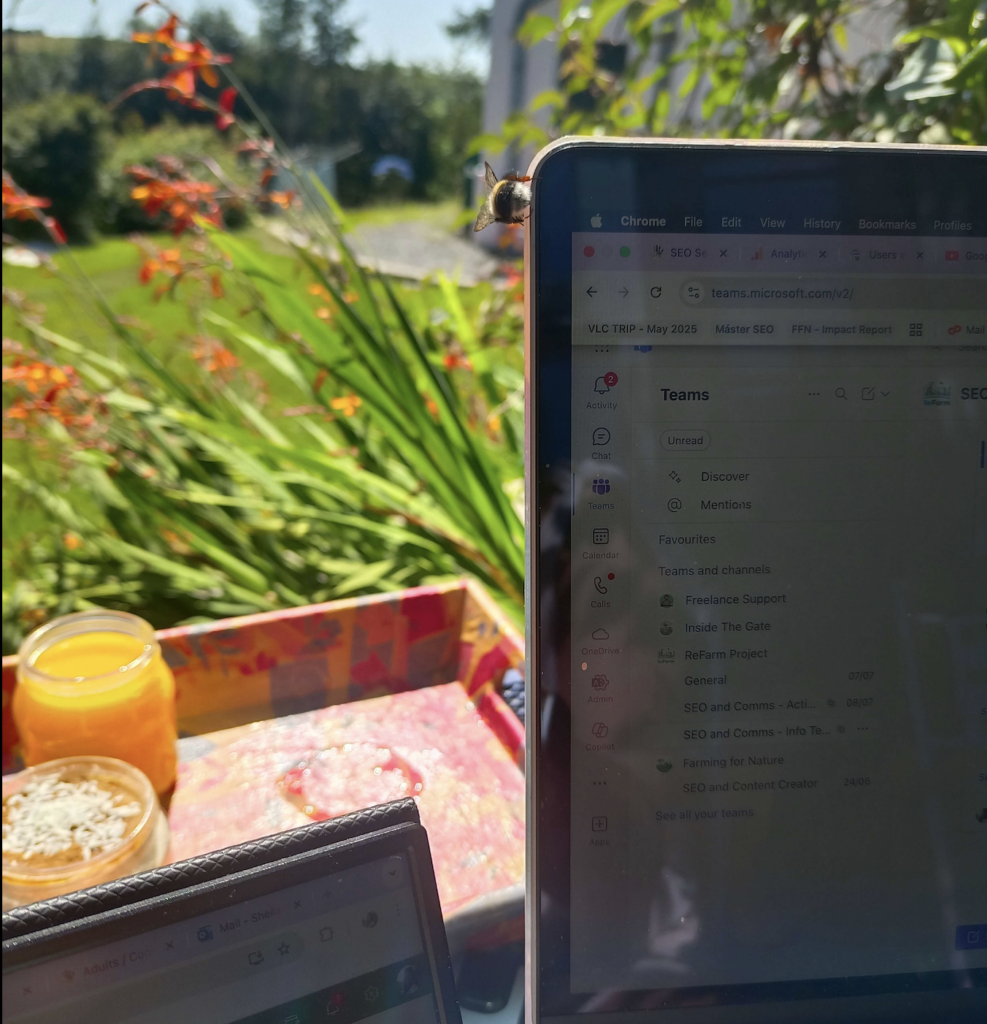 wild-office-studio-bee